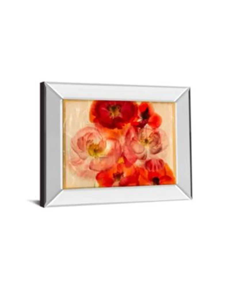 Classy Art Papaver Dreams By Harold Davis Mirror Framed Print Wall Art Collection