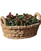 Campania International Provencal Basket Planter