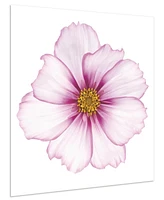 Empire Art Direct Magenta Cosmo on White Frameless Free Floating Tempered Glass Panel Graphic Wall Art, 40" x 40" x 0.2"