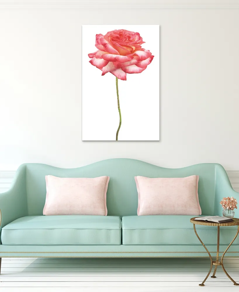 Empire Art Direct Pink Rose on White Frameless Free Floating Tempered Glass Panel Graphic Wall Art, 48" x 32" x 0.2"