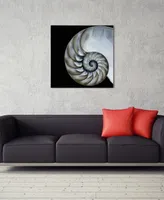 Empire Art Direct Pearly Nautilus Frameless Free Floating Tempered Glass Panel Graphic Wall Art, 36" x 36" x 0.2"