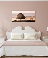 Empire Art Direct Plain View Frameless Free Floating Tempered Art Glass Wall Art by Ead Art Coop, 24" x 48" x 0.2"