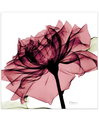 Empire Art Direct Chianti Rose I Frameless Free Floating Tempered Glass Panel Graphic Wall Art, 24" x 24" x 0.2"