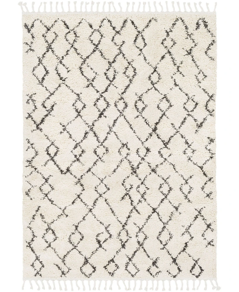 Livabliss Berber Shag Bbe-2301 Charcoal 2' x 2'11" Area Rug