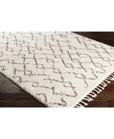 Surya Berber Shag Bbe Charcoal Area Rug