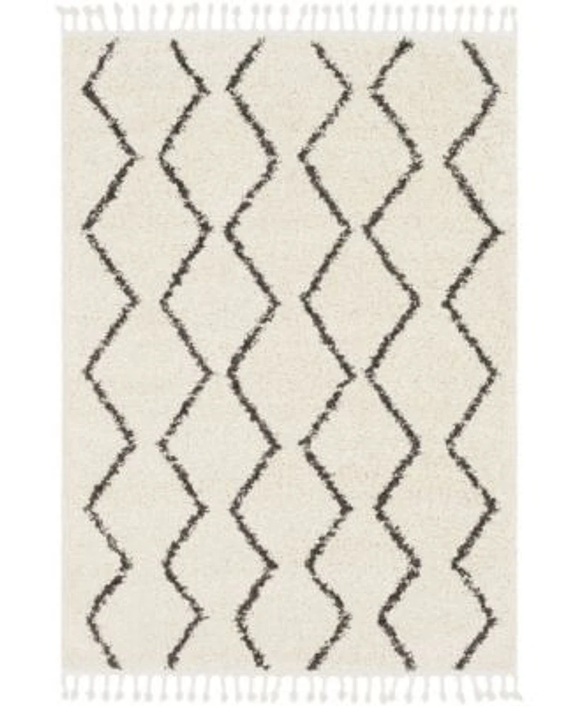 Livabliss Berber Shag Bbe 2303 Charcoal Area Rug