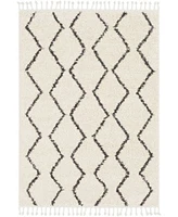 Surya Berber Shag Bbe Charcoal Area Rug