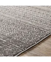 Surya Chester Che- 5'3" x 7'3" Area Rug