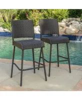 Noble House Samira Outdoor Barstools, Set of 2