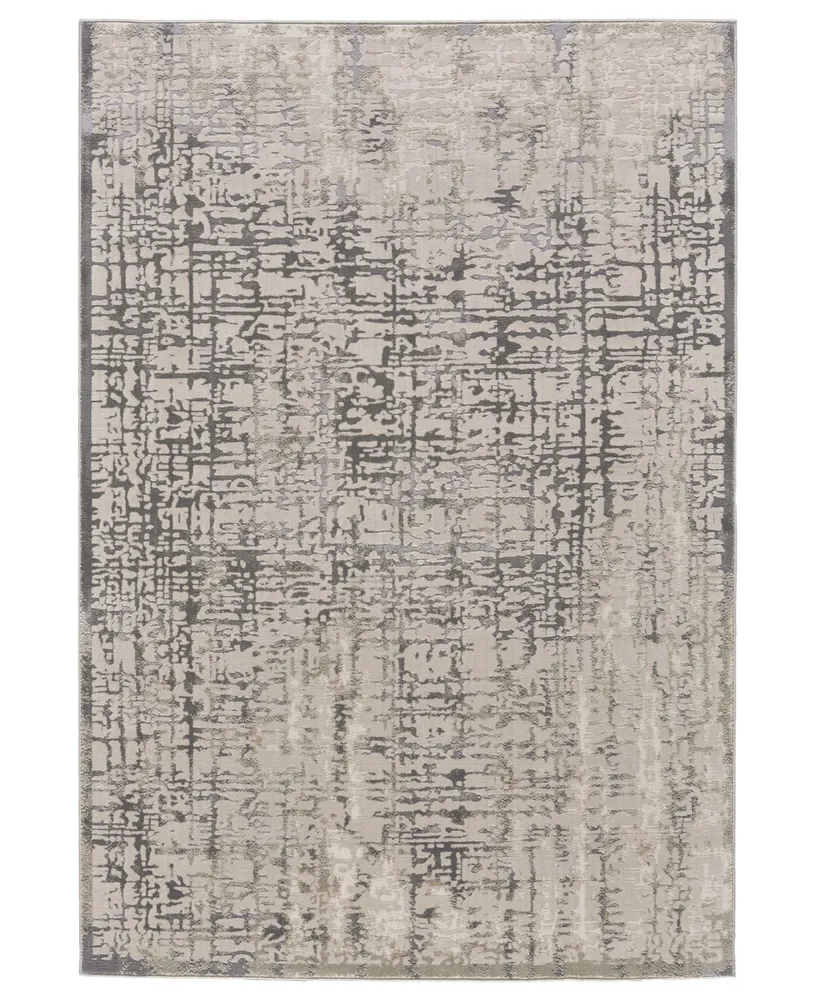 Feizy Prasad R3683 Gray 5' x 8' Area Rug