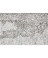 Feizy Dryden R8789 Beige 5' x 8' Area Rug