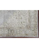 Amer Rugs Century Cen-11 Gray/Ivory 3'11" x 5'11" Area Rug