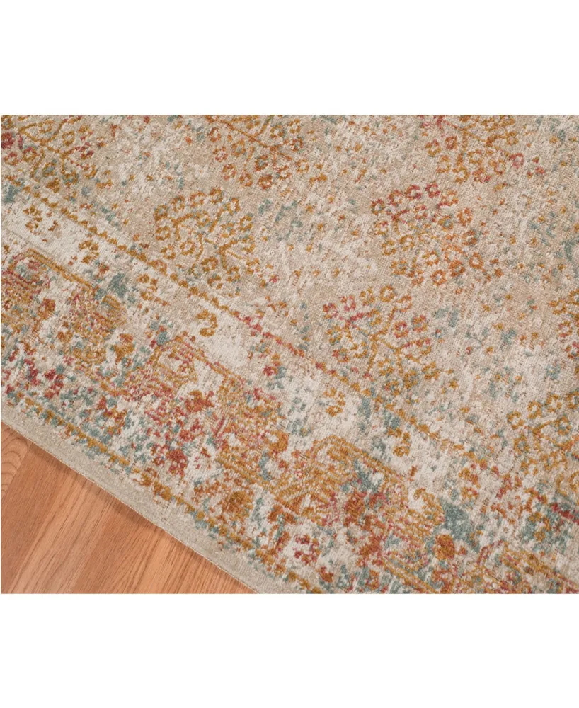 Amer Rugs Eternal Ete-16 Beige/Rust 3'11" x 5'11" Area Rug