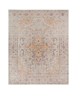 Amer Rugs Eternal Ete-2 Ivory 5'7" x 7'6" Area Rug