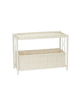 Resin Planter with Tray