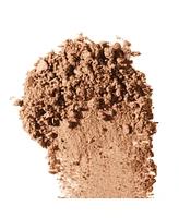 Elizabeth Arden Pure Finish Mineral Foundation