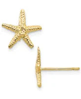 Starfish Stud Earrings in 14k Gold