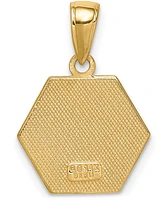 Medical Info Hexagon Charm Pendant in 14k Gold