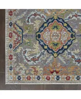 Nourison Home Ankara Global ANR12 Gray and Multi 4' x 6' Area Rug