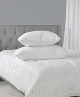 Sealy Premium Down Wrap Pillow