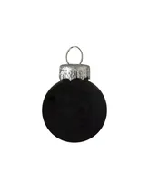 Northlight 9 Count Shiny and Matte Glass Ball Christmas Ornaments