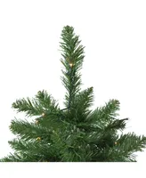 Northlight Pre-Lit Full Twin Lakes Fir Artificial Christmas Tree