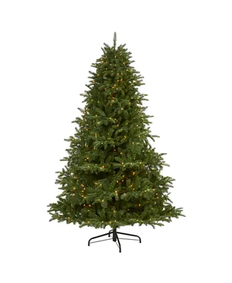 Nearly Natural South Carolina Spruce Artificial Christmas Tree with 500 Warm Lights and 2644 Bendable Branches