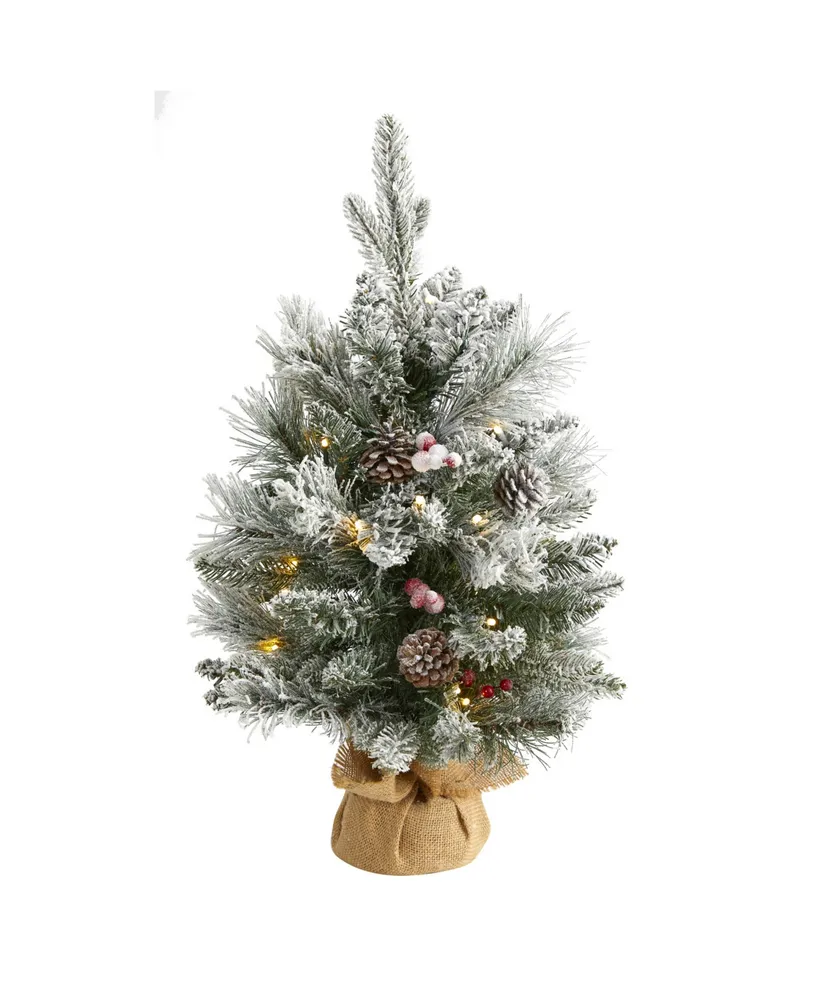 Christmas background of natural and artificial pine branches with