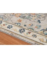 Amer Rugs Bohemian Bhm-6 Gray 5'1" x 7'6" Outdoor Area Rug