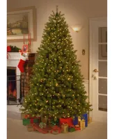 National Tree 6' "Feel Real" Downswept Douglas Fir Hinged Tree with 600 Clear Lights