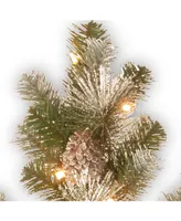 National Tree Company 32" Snow Capped Mountain Pine Snowflakes with Cones & 50 Warm White Battery Operated Led Lights w/Timer