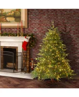 National Tree 6' "Feel Real" Frasier Grande Hinged Tree with 800 Dual Led Lights