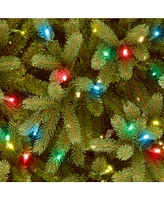 National Tree 7 .5' "Feel Real" Jersey Fraser Fir Hinged Tree with 1250 Multi Lights