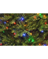 National Tree 6.5' Dunhill Fir Tree with 600 Dual Color Led Lights and PowerConnect