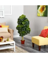 Schefflera Artificial Tree Real Touch