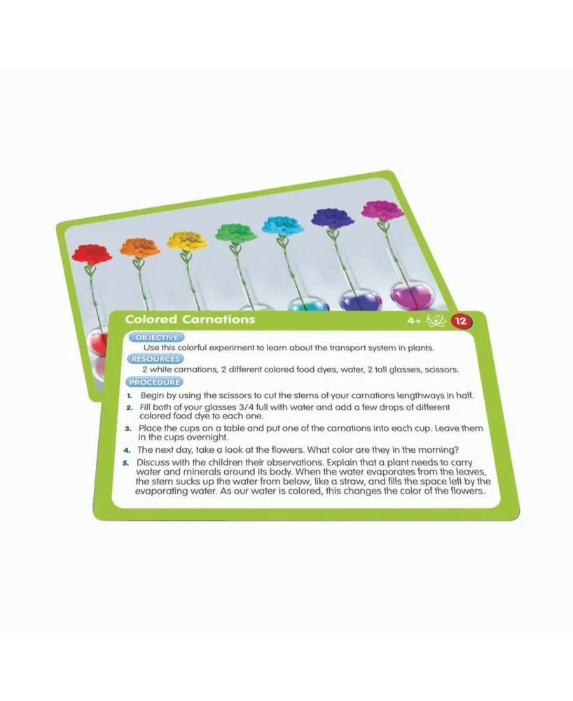 Junior Learning 50 Stem Educational Activity Cards for Science