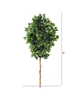 6' Ficus Artificial Tree, No Pot