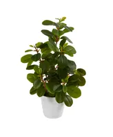 16" Peperomia Artificial Plant in Decorative Planter