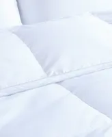 Nikki Chu 300 Thread Count 100% Cotton White Goose Down Comforter, Full/Queen