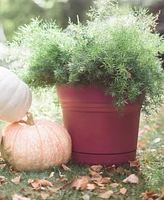 Bloem SP1413 Saturn Collection Planter w/ Saucer 14 inches Burnt Red