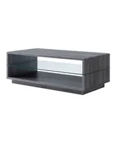 Willam Open Shelves Coffee Table