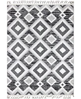 Bb Rugs Shawnee SHA105 3'6" x 5'6" Area Rug