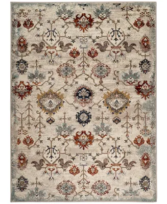 Amer Rugs Allure Alice 7'9" x 9'9" Area Rug