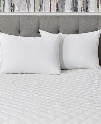 AllerEase Reserve Cotton Fresh Pillow, Standard/Queen