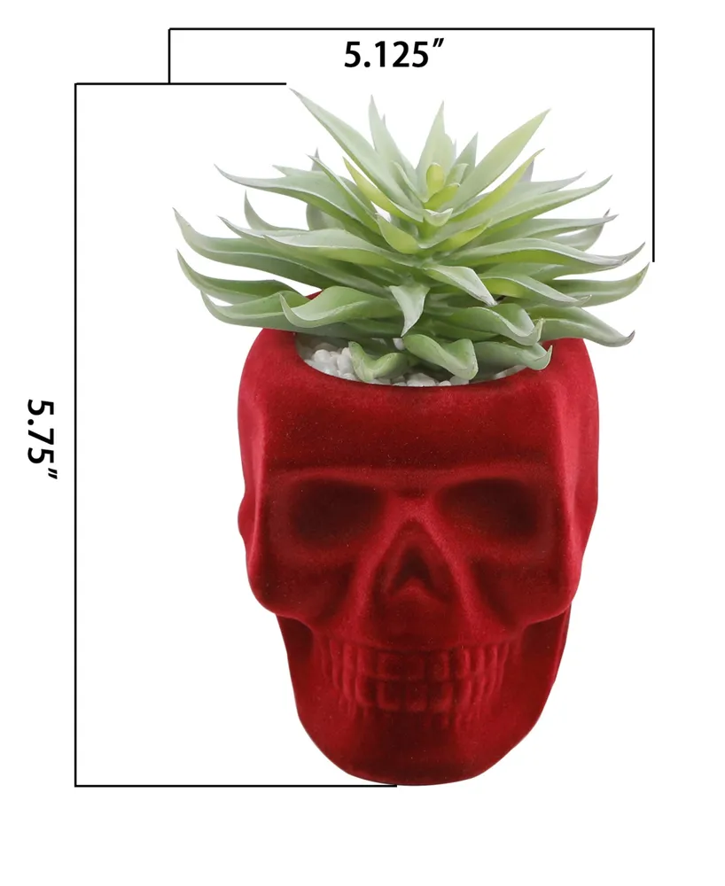 5" Artificial Succulent in Flocked Skull Ceramic - Burgundy, Green