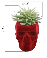 5" Artificial Succulent in Flocked Skull Ceramic - Burgundy, Green