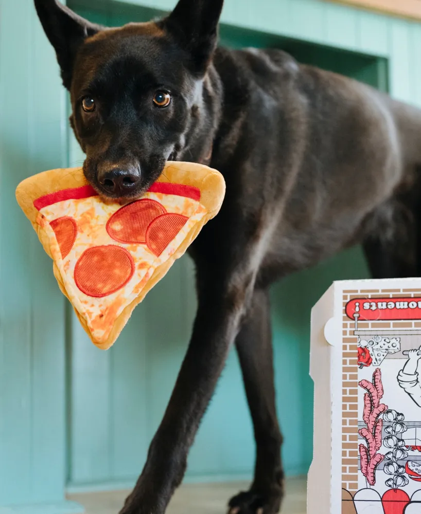 P.l.a.y. Snack Attack Puppy-Roni Pizza Plush Dog Toy