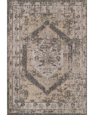 Bayshore Home Outdoor Bh Pashio Traditional Ii Valeria 7' x 10' Area Rug