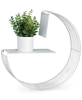 Honey Can Do Floating Circular Decorative Metal Wall Shelf
