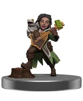 Magic - The Gathering Miniatures - Adventures in the Forgotten Realms